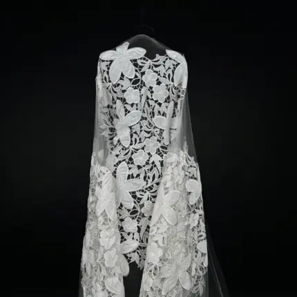 Off White Artisan Elegance Tulle with Embroidery and Appliqué: